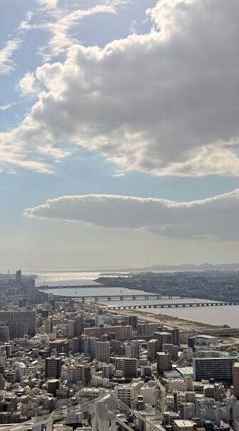 麻豆传媒有限公司视频-揭开麻豆文化，探索网络视频的商业与文化效应